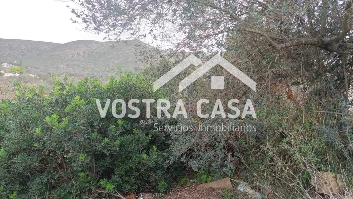 Terreno en venta en Macastre, Valencia photo 5