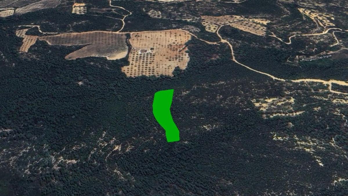 Land for sale in Yatova, Valencia photo 2