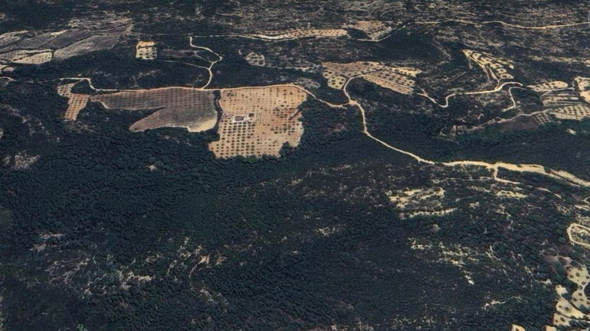 Land for sale in Yatova, Valencia photo 3