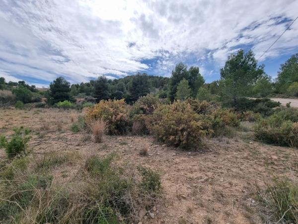 Terreno en Alborache photo 1