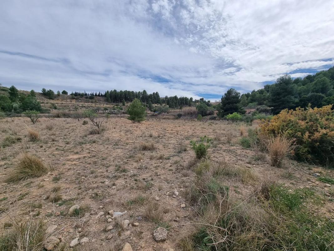 Terreno en venta en Alborache, Valencia photo 2