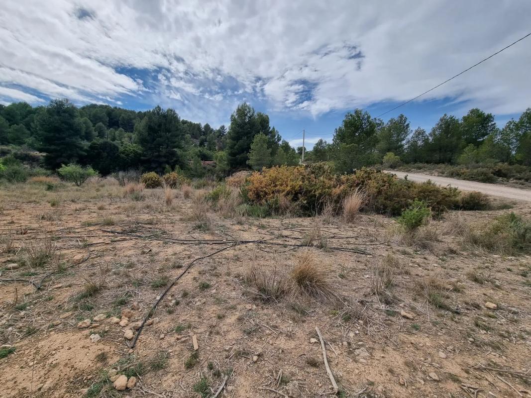 Terreno en venta en Alborache, Valencia photo 3