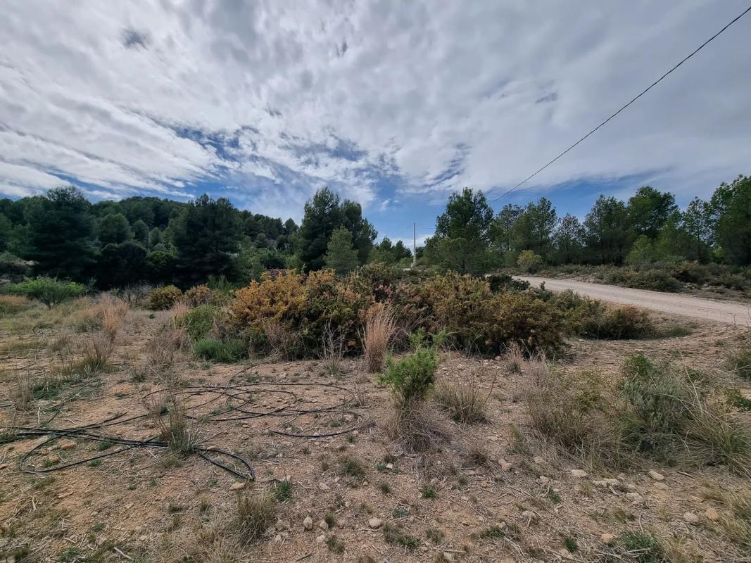 Terreno en venta en Alborache, Valencia photo 4
