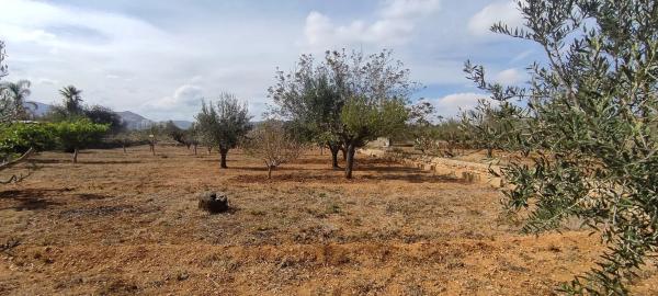 Terreno en plaza Numero 14 photo 1