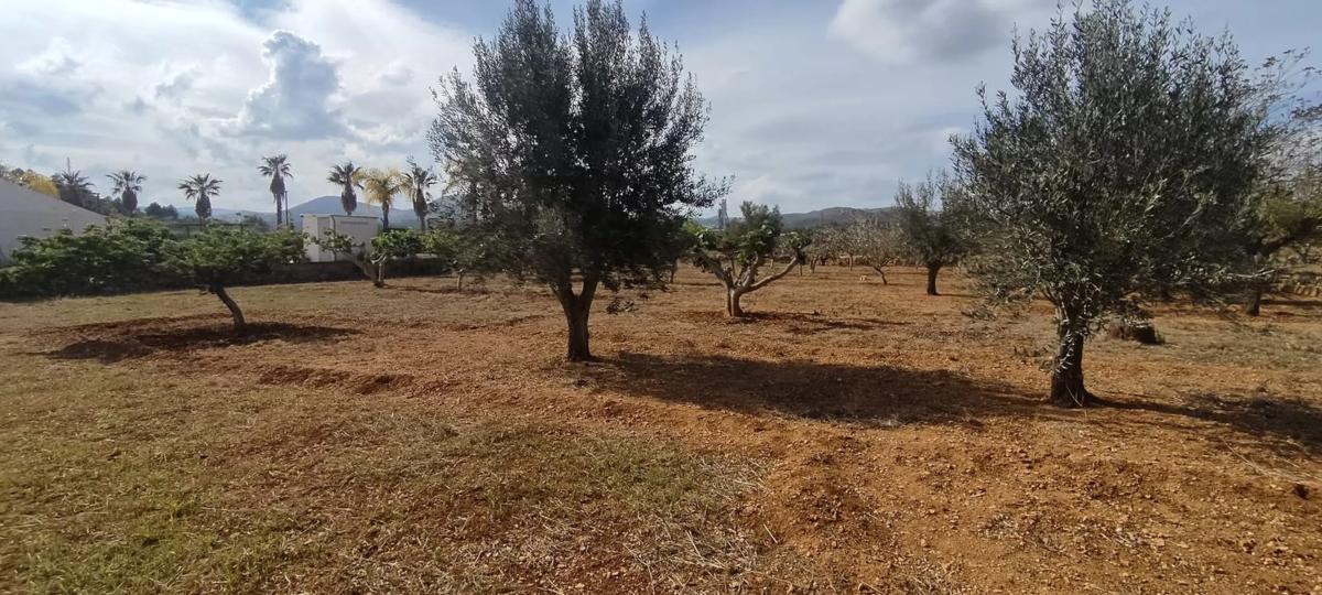 Terreno en venta en Buñol, Valencia photo 2