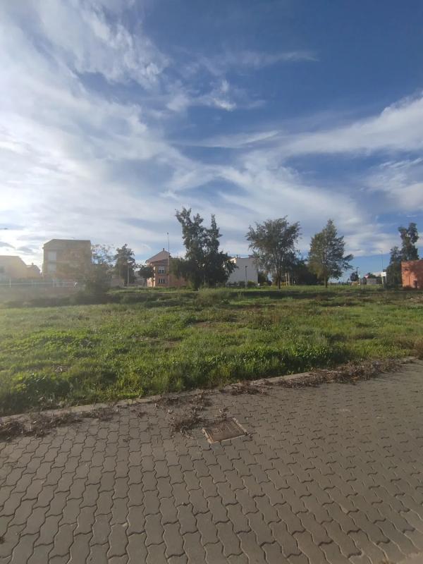 Terreno en venta en Cheste, Valencia photo 2