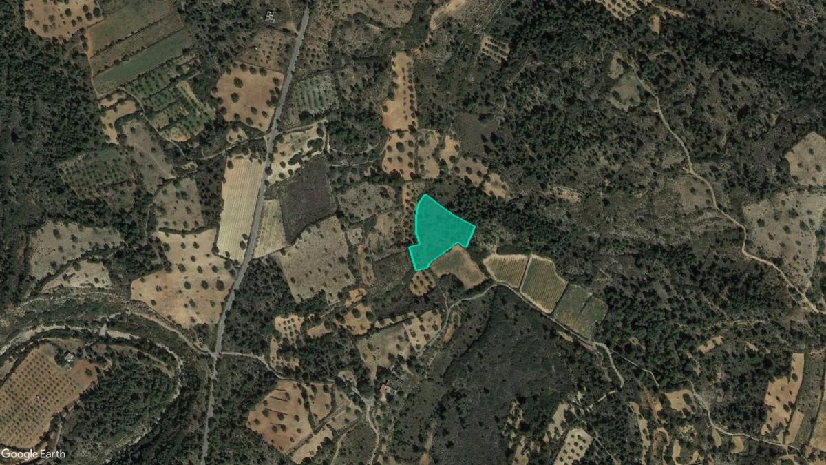 Terreno en venta en Cheste, Valencia photo 2