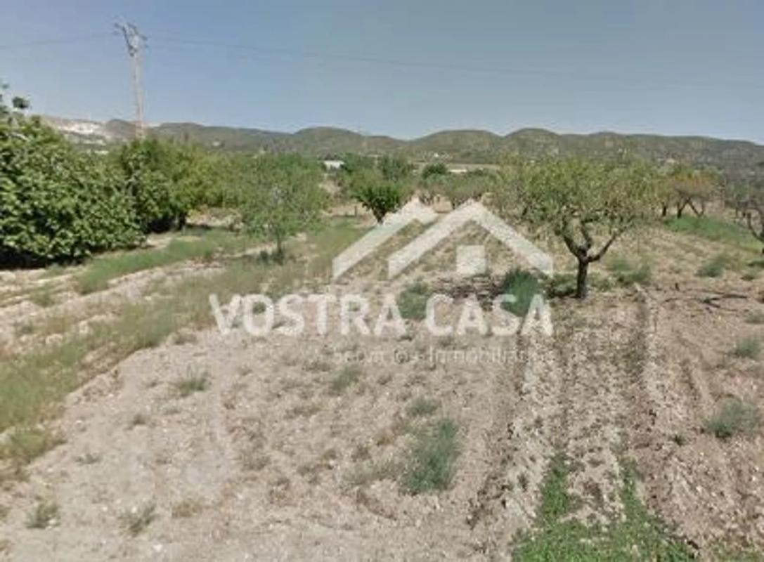 Terreno en venta en Buñol, Valencia photo 4