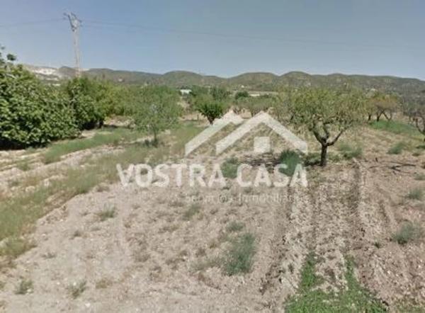 Terreno en Buñol photo 4