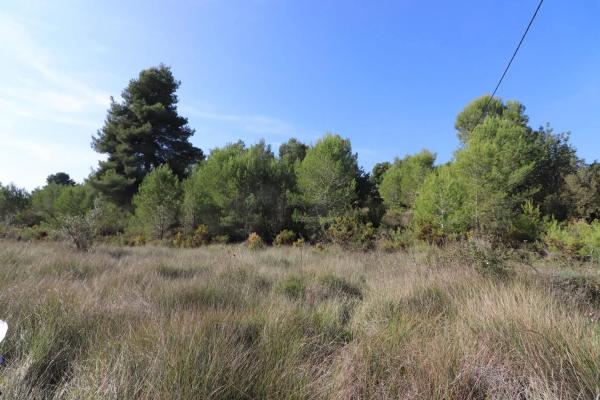Terreno en Alborache photo 1