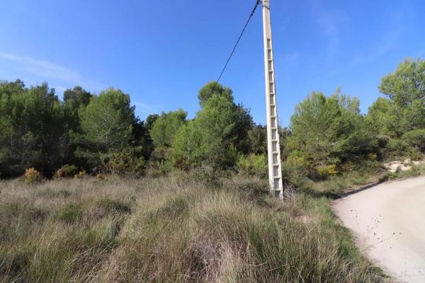 Terreno en Alborache photo 2