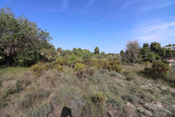Terreno en Alborache photo 3