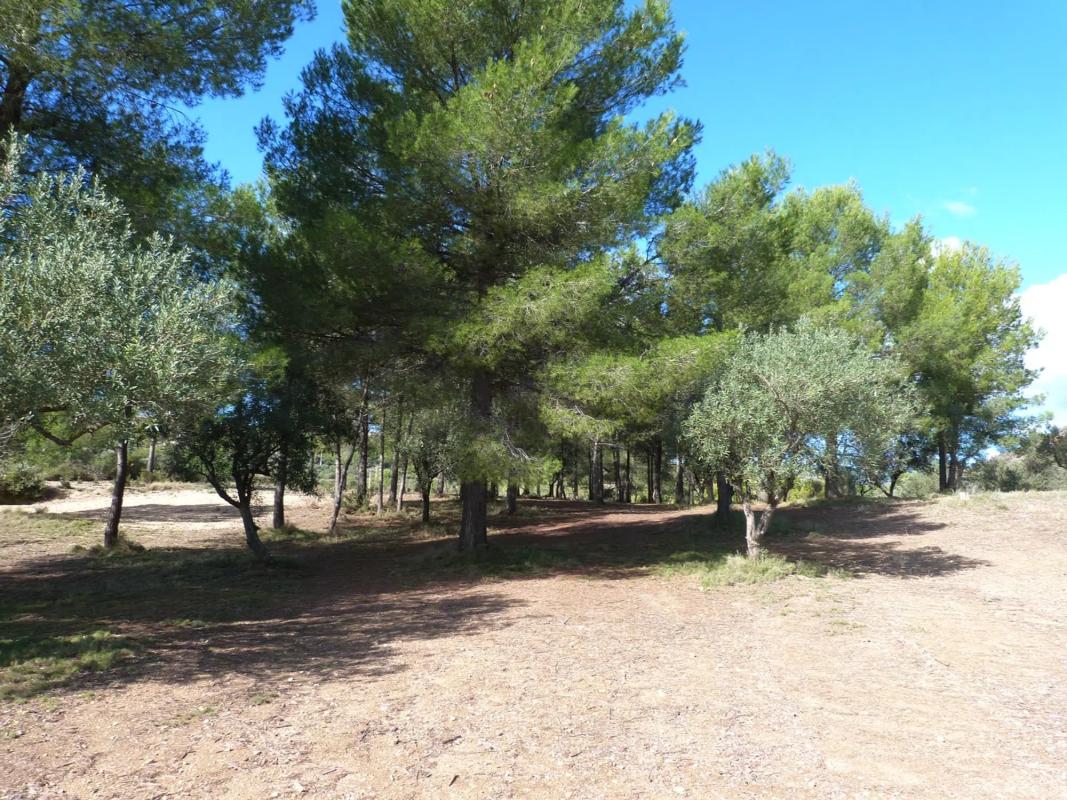 Land for sale in Alborache, Valencia photo 1