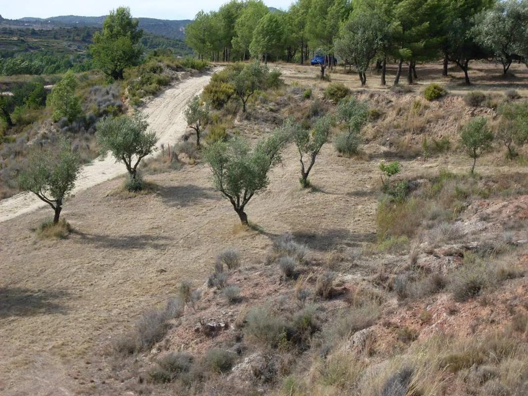 Land for sale in Alborache, Valencia photo 2