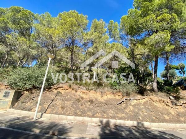 Terreno en calle 16 photo 1