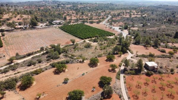 Terreno en Cheste photo 1