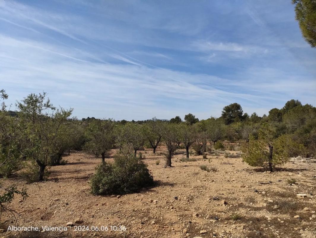 Terreno en venta en Buñol, Valencia photo 1