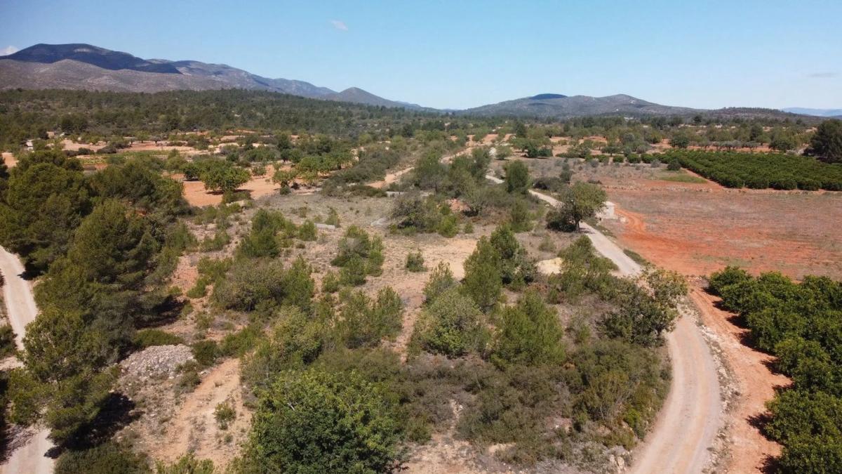 Terreno en venta en Cheste, Valencia photo 4