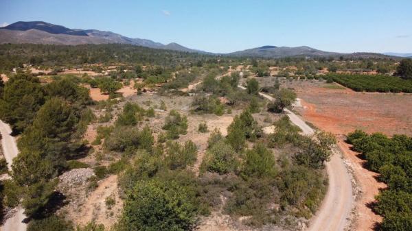 Terreno en Cheste photo 4