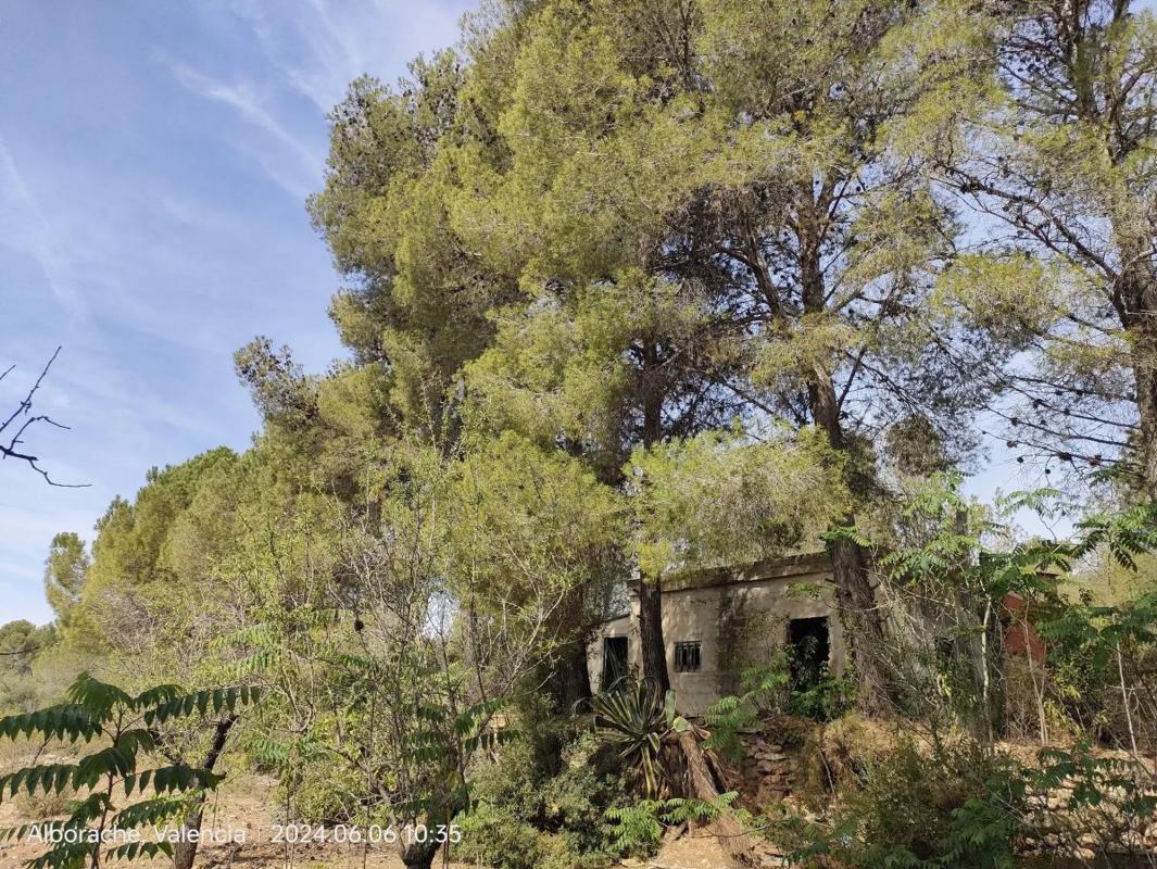 Terreno en venta en Buñol, Valencia photo 4