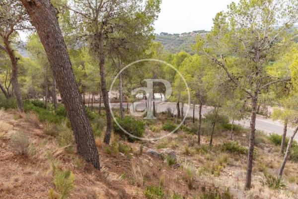 Terreno en El Bosque photo 2