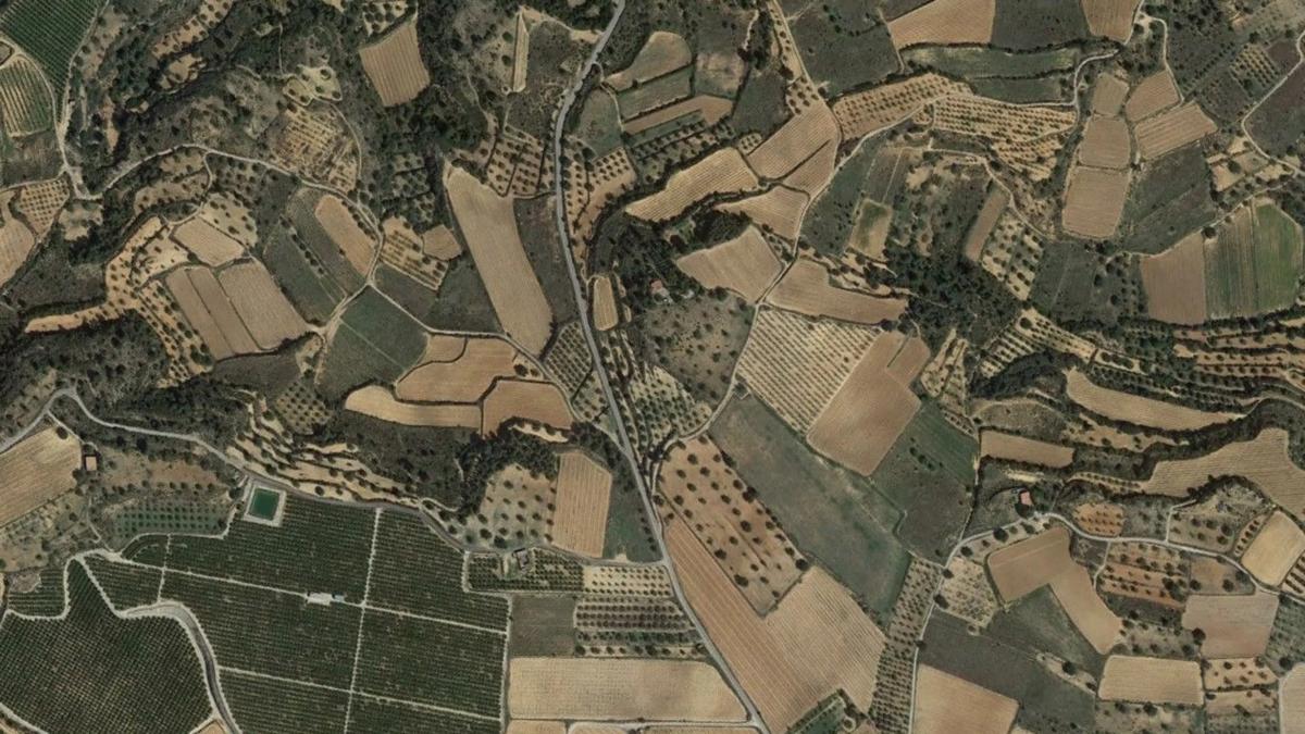 Terreno en venta en Cheste, Valencia photo 3