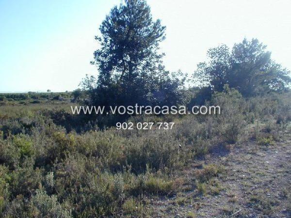 Terreno en calle la Yesa photo 2