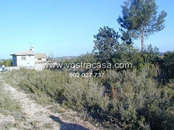Terreno en calle la Yesa photo 3