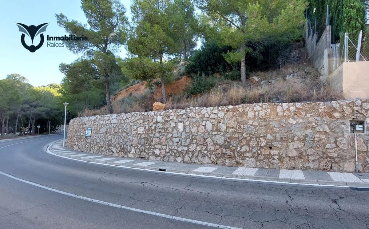 Land for sale in Godelleta, Valencia photo 3