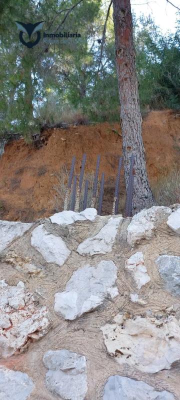 Land for sale in Godelleta, Valencia photo 4