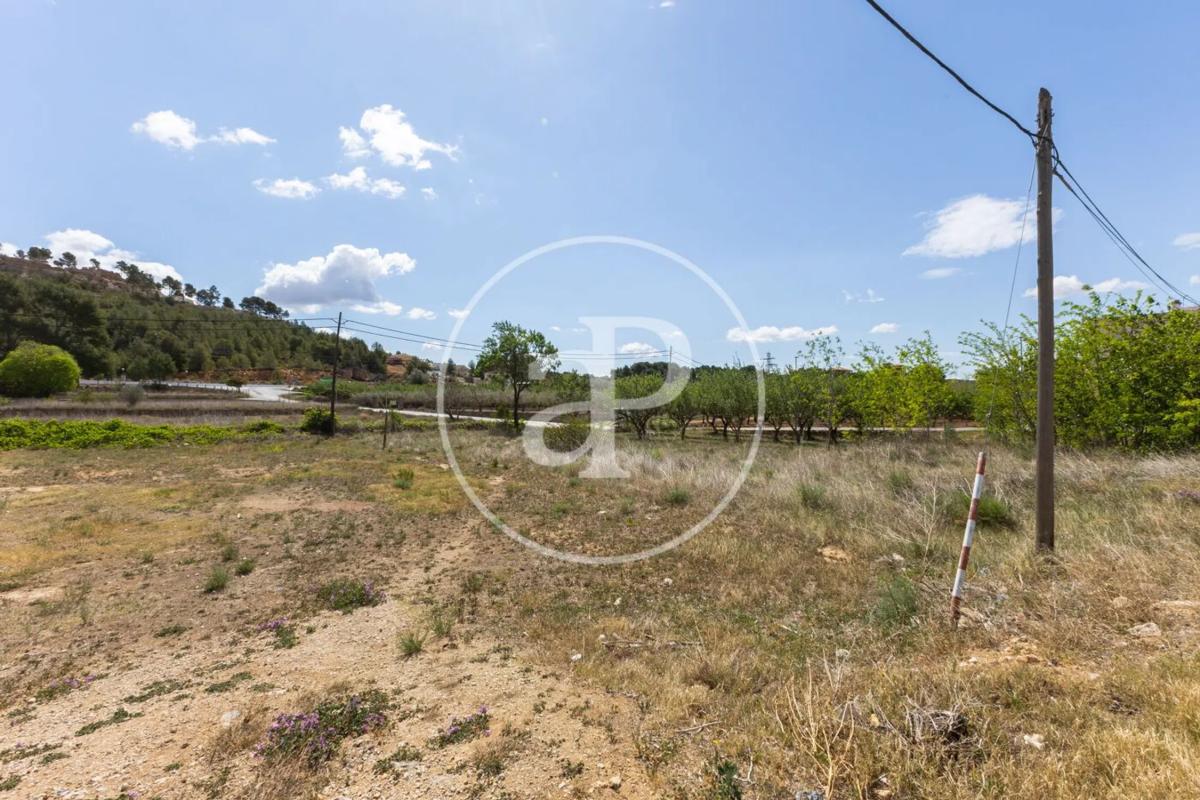 Land for sale in Chiva, Valencia photo 1