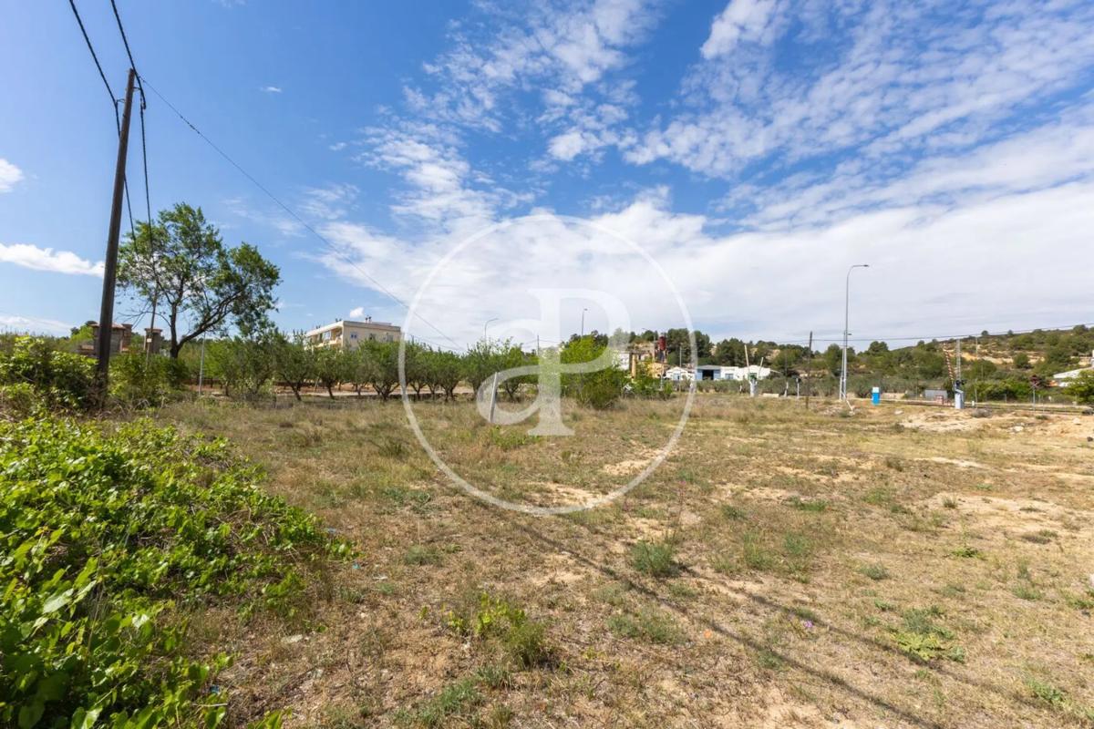 Land for sale in Chiva, Valencia photo 5