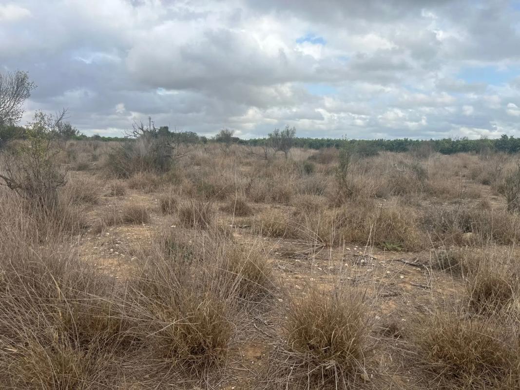 Terreno en venta en Chiva, Valencia photo 3