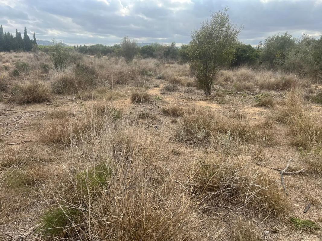 Terreno en venta en Chiva, Valencia photo 5