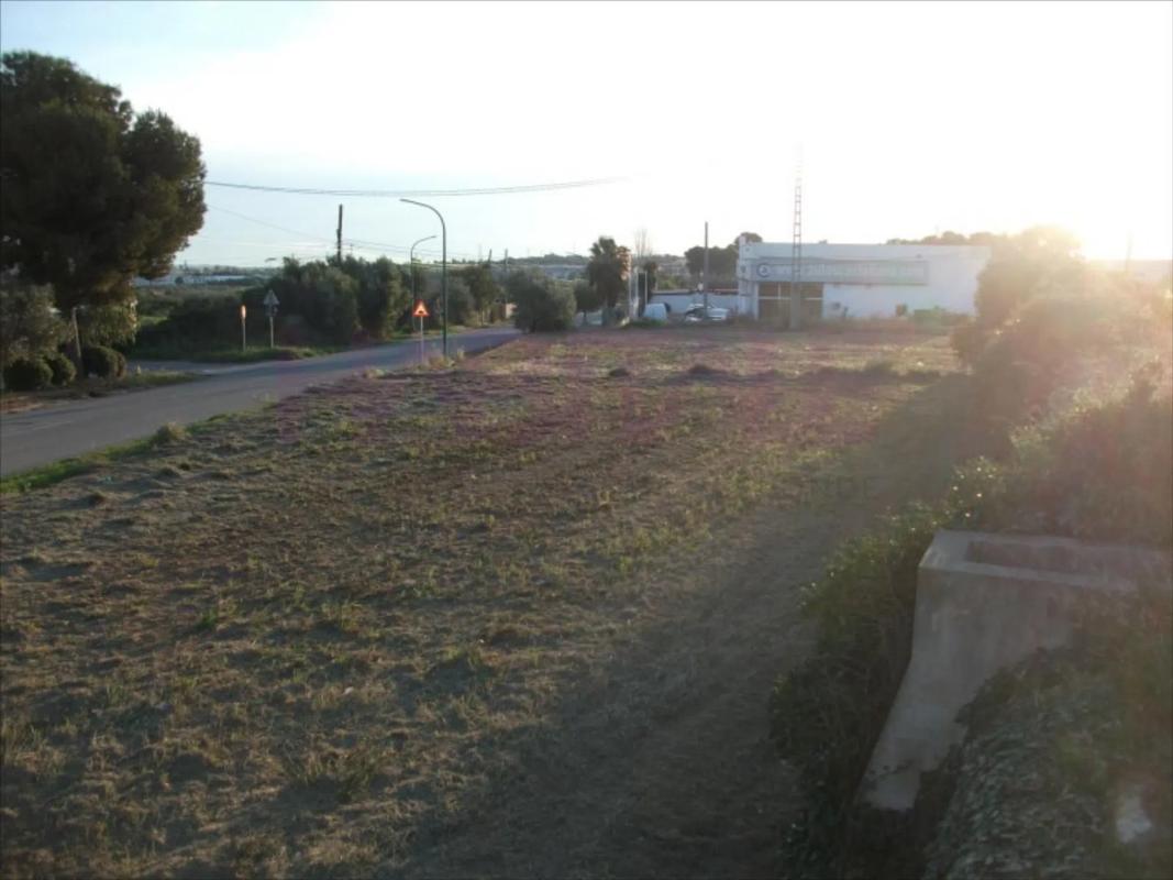 Land for sale in Chiva, Valencia photo 4