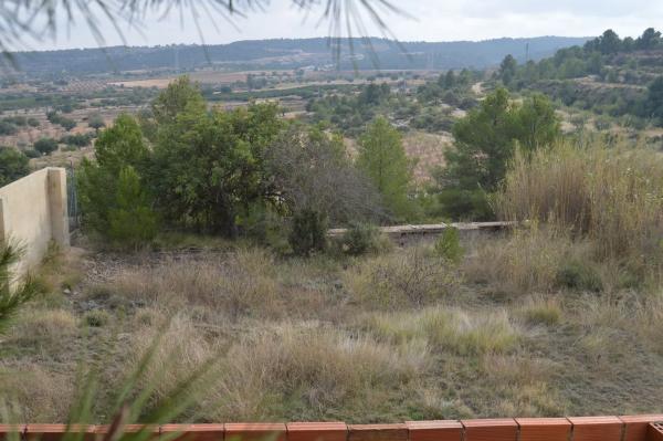 Terreno en Centro photo 2