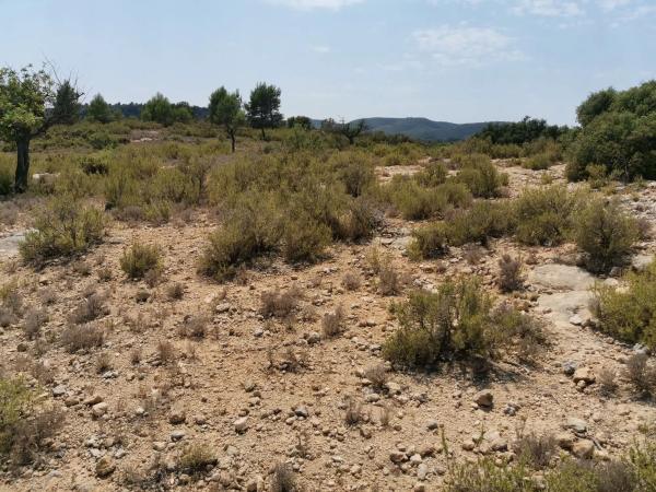 Terreno en Unnamed Road, km 1 photo 1