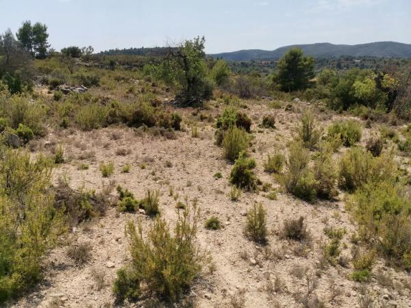 Terreno en Unnamed Road, km 1 thumbnail 1