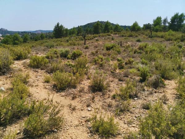 Terreno en Unnamed Road, km 1 photo 4