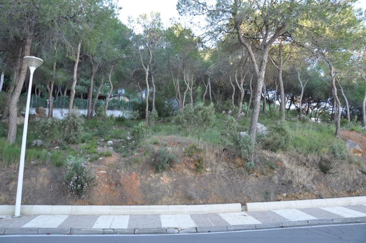 Terreno en venta en Chiva, Valencia photo 3