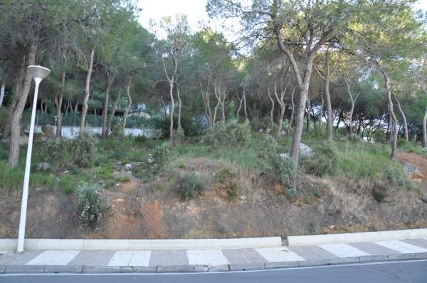 Terreno en Urbanización Bosque U14, 298 thumbnail 2