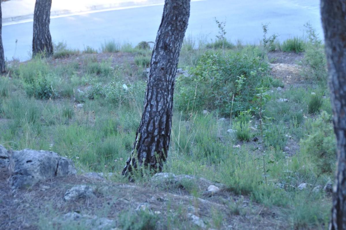Terreno en venta en Chiva, Valencia photo 4