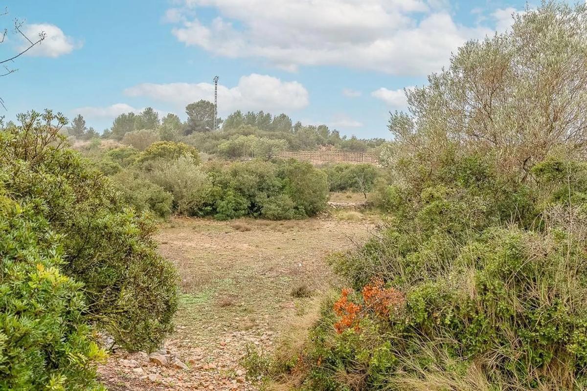 Terreno en venta en Cheste, Valencia photo 4