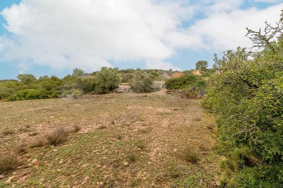 Terreno en venta en Cheste, Valencia photo 5