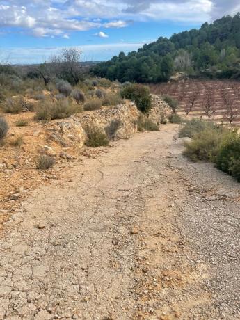 Terreno en Poligono 3, km 8 photo 4