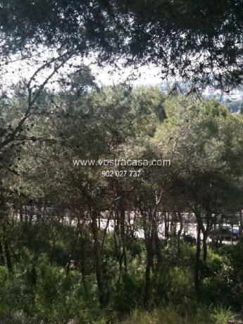 Terreno en calle 20 photo 3