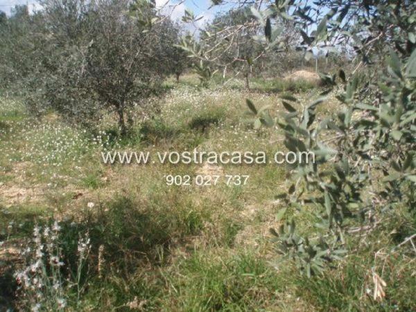 Terreno en Cv-378 photo 1