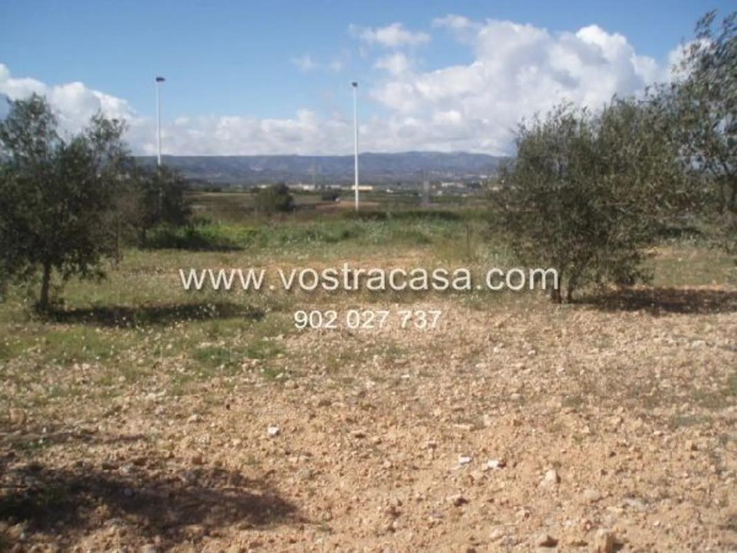 Terreno en venta en Cheste, Valencia photo 3