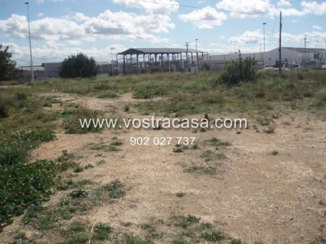 Terreno en venta en Cheste, Valencia photo 5
