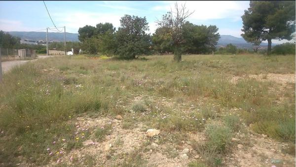 Terreno en plaza Numero 17, 550 photo 2